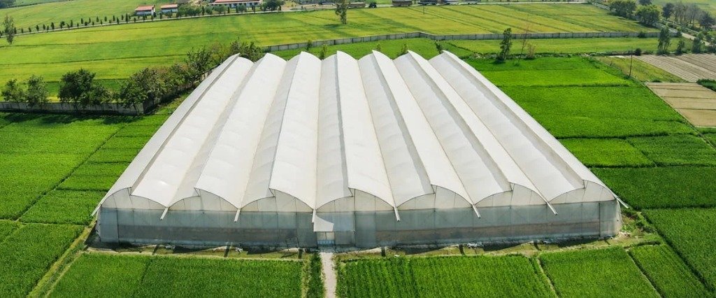 Polyhouse Farming in India