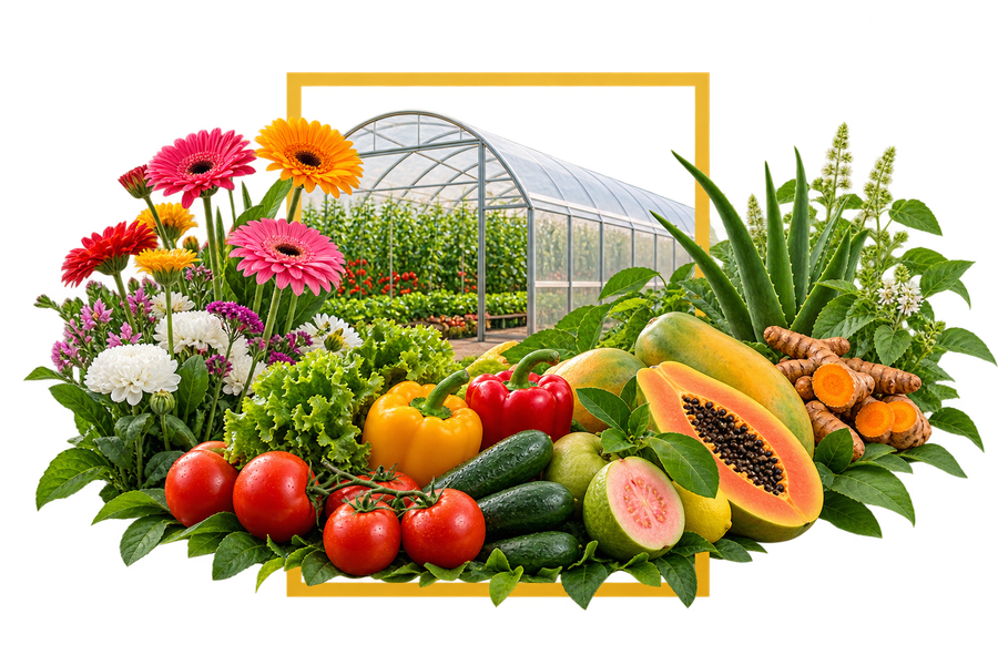 Vriddhi Agro Fresh Produce